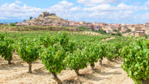 Viaje en furgoneta por la Ruta del Vino de Rioja